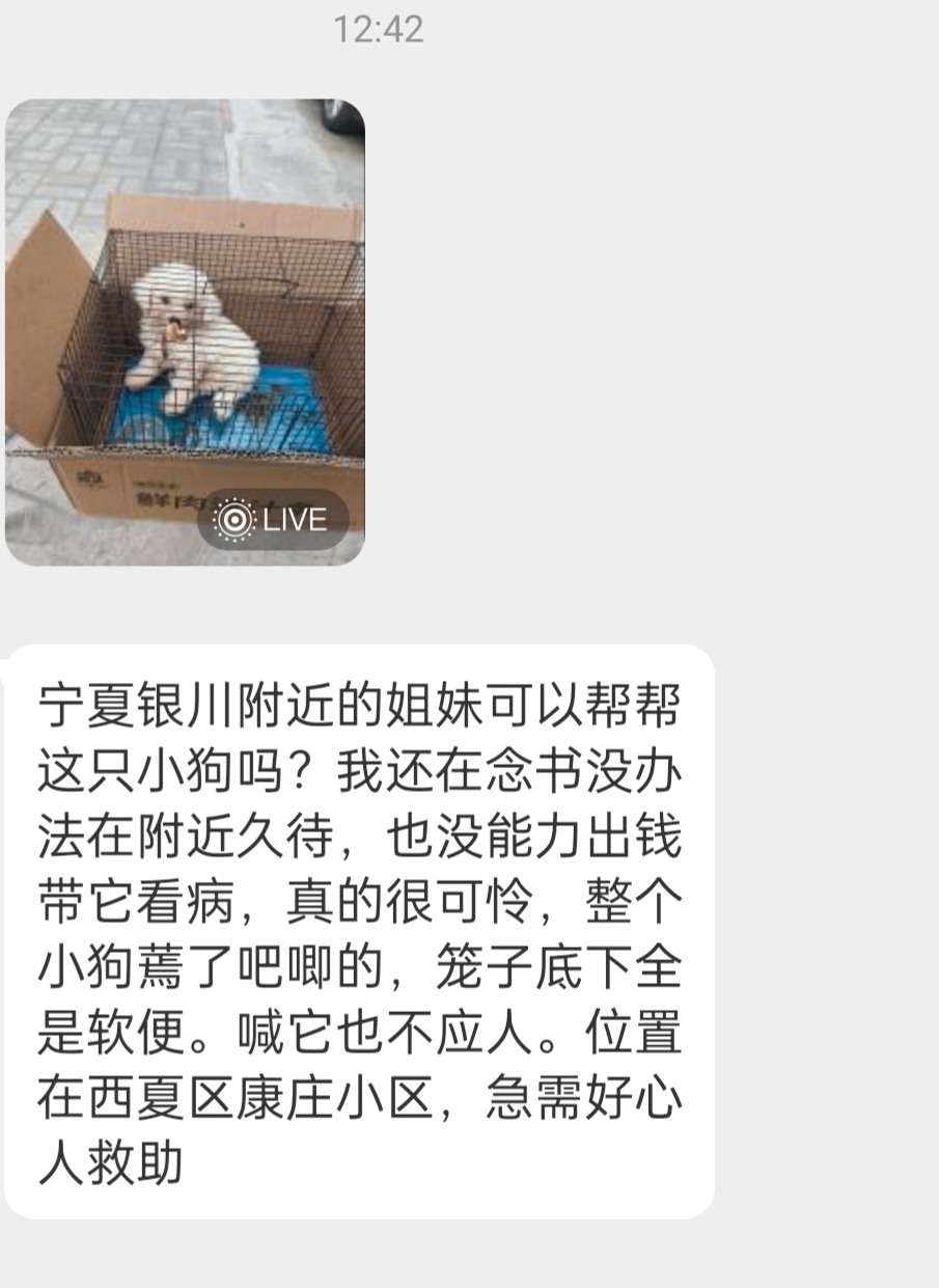 星期狗……医生也没办法救回来 ​​​