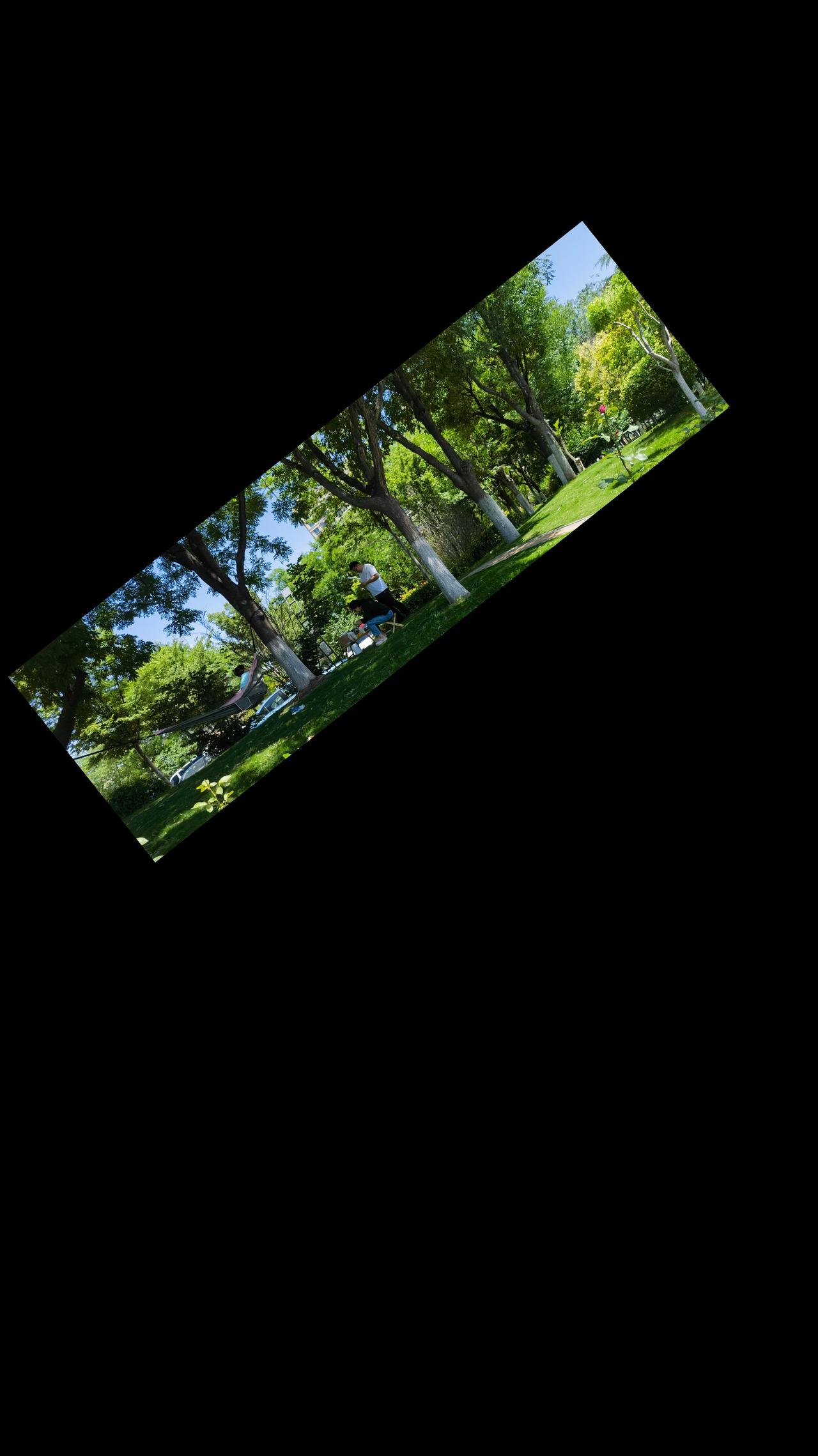 初夏的公园