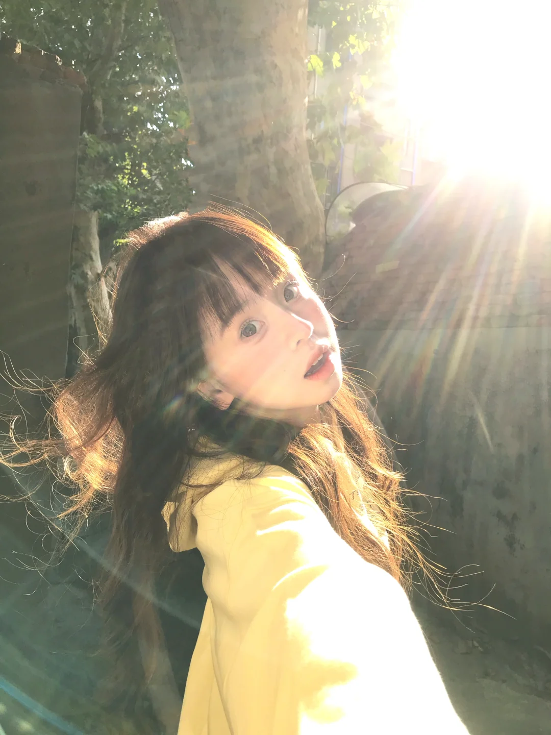 幸福存档 (｡ì _ í｡)🌼