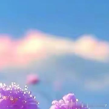 每日一善  紫花满天星 种植方法：1、土壤对栽培的土壤要求不是很高，普通的营养土