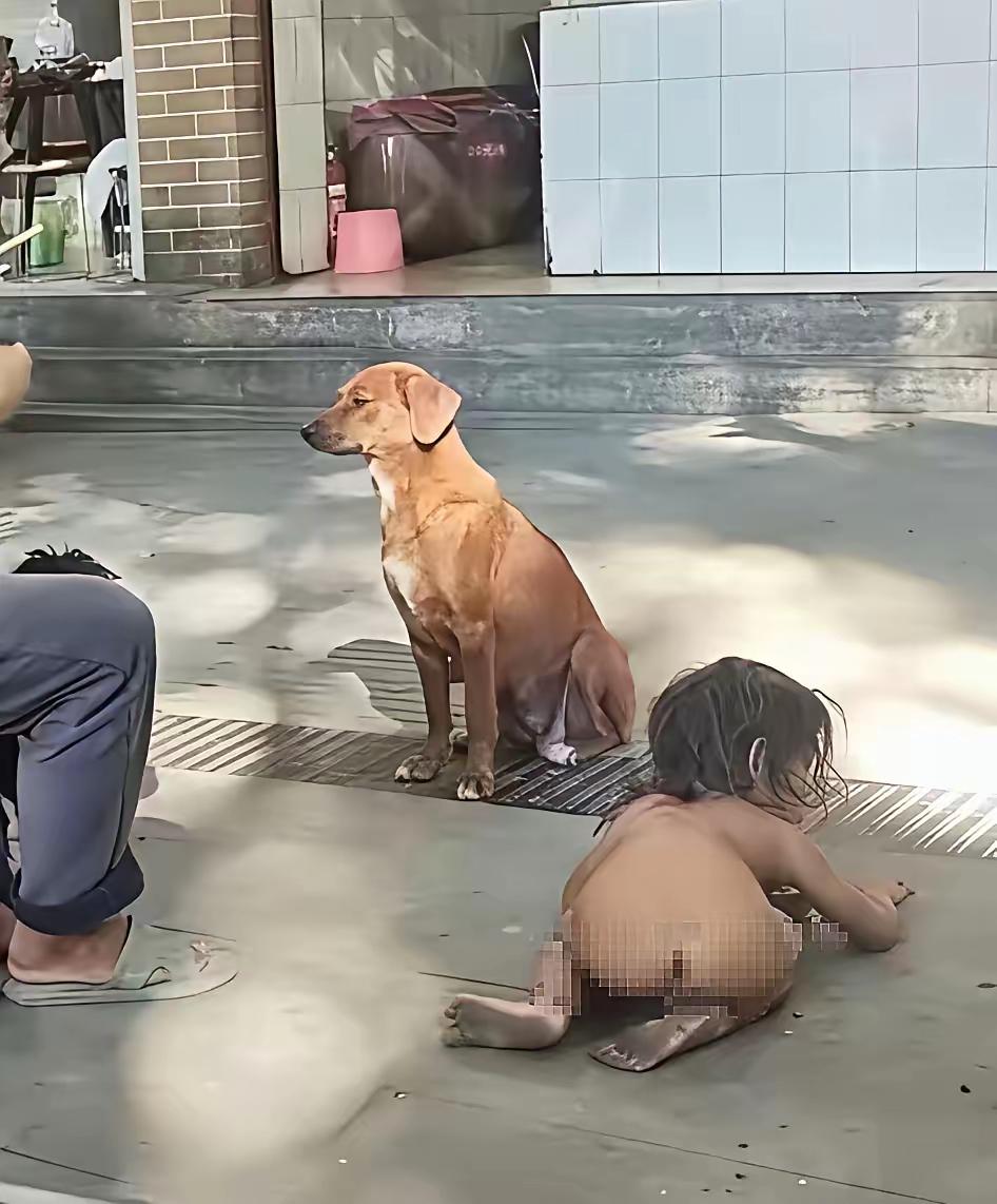 四肢爬行，全身赤裸，一丝不挂，爬行吃饭，全身脏兮兮的，一年四季，不给孩子穿衣，看