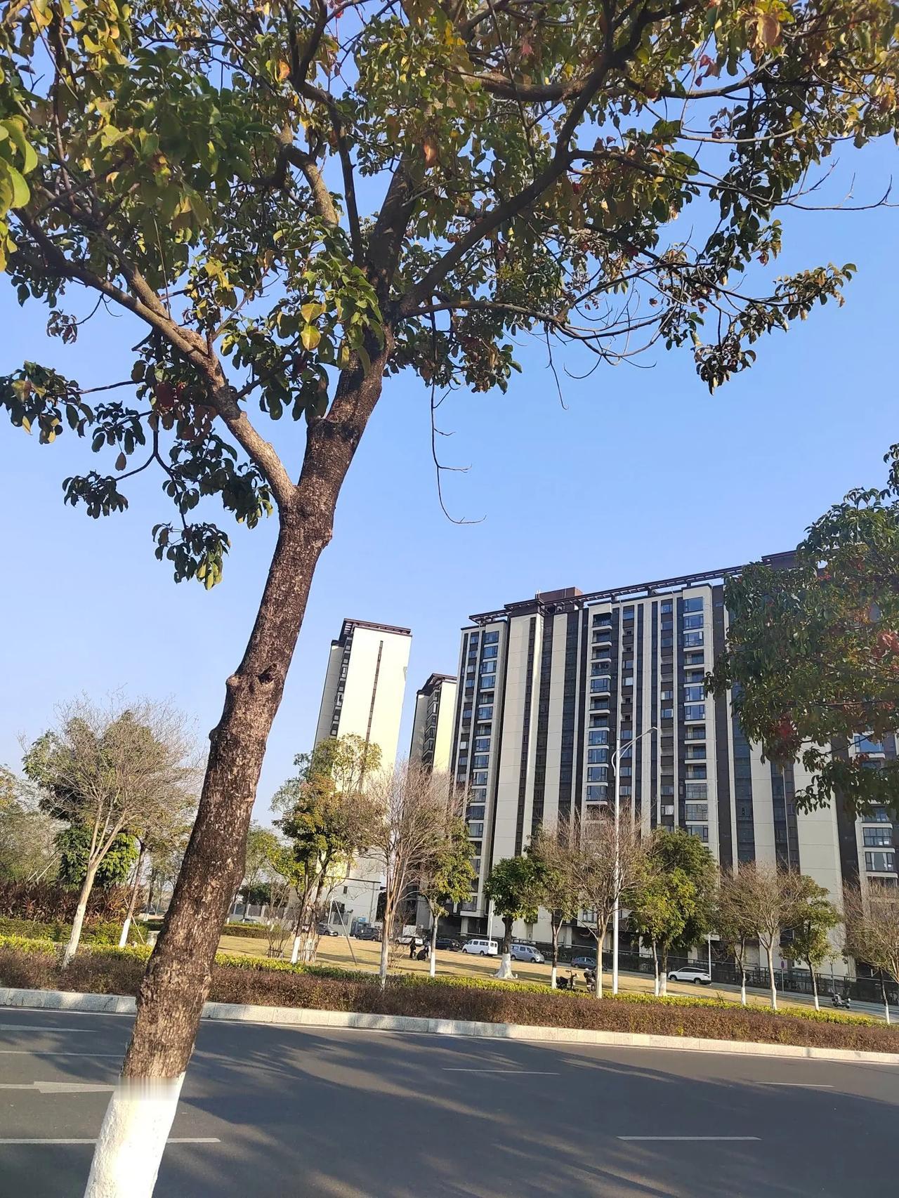 上联：秋霜催黄叶，诚邀下联病痛剥健康。