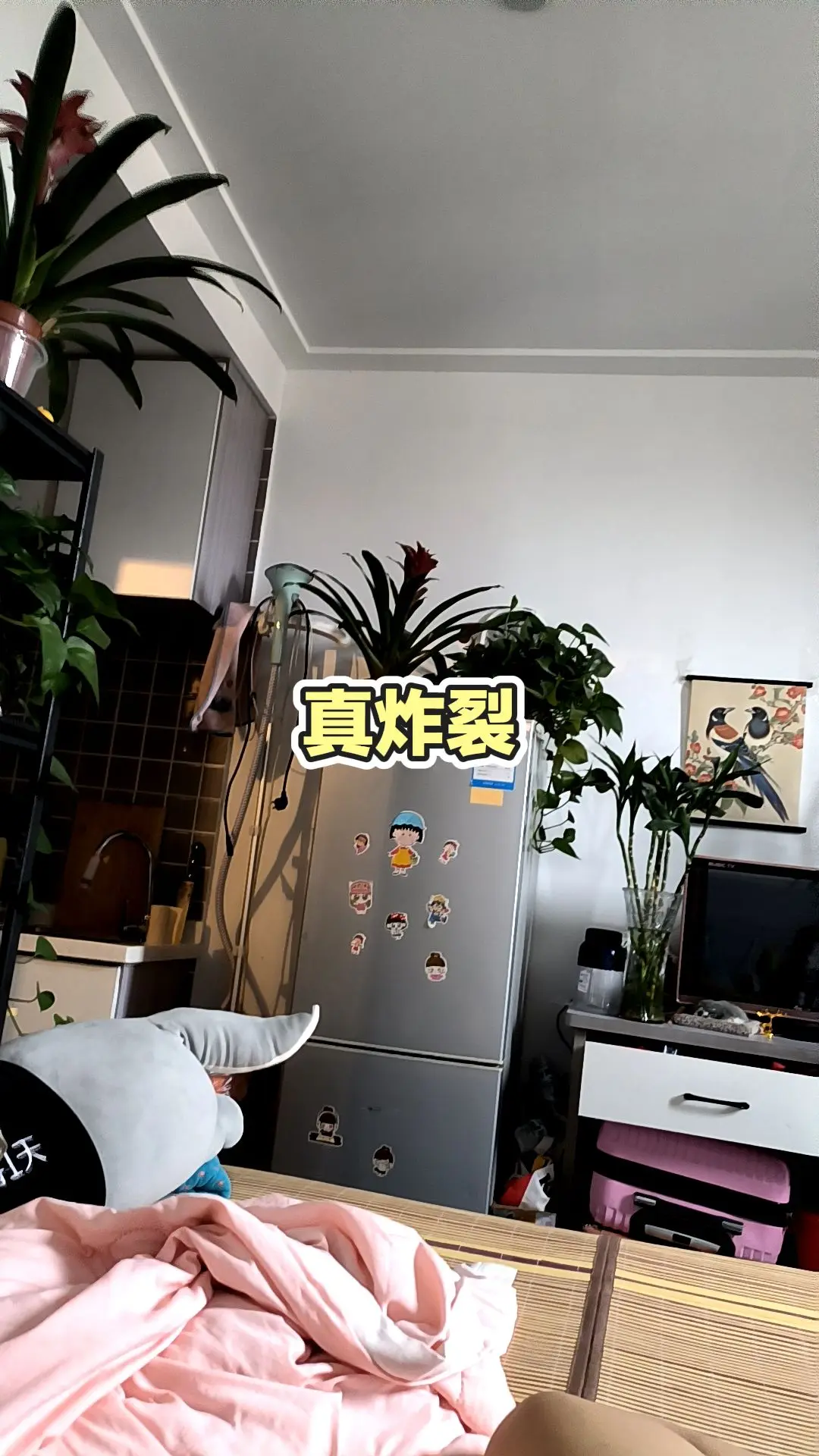 每日分享