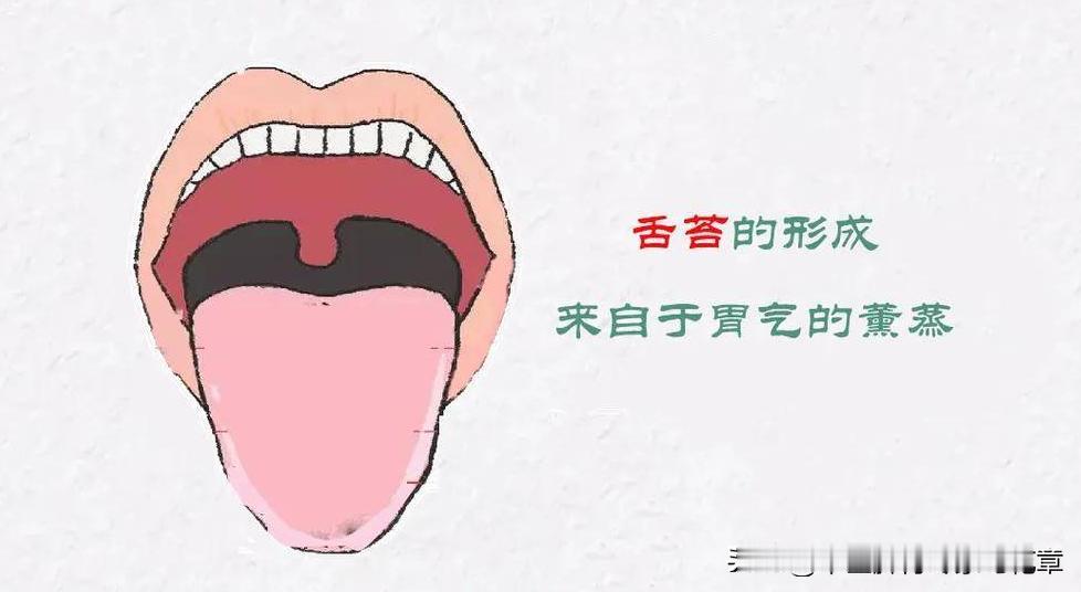 萎缩性胃炎的患者舌头上有什么变化？
慢性萎缩性胃炎患者舌质淡红，舌苔黄腻，舌边多