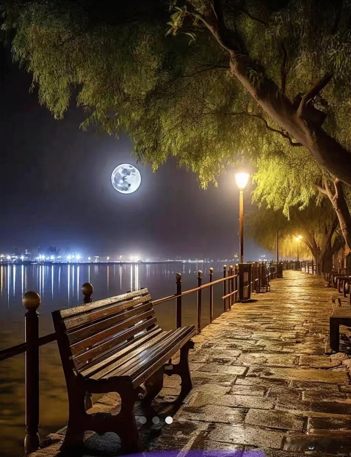 公园的夜景随拍