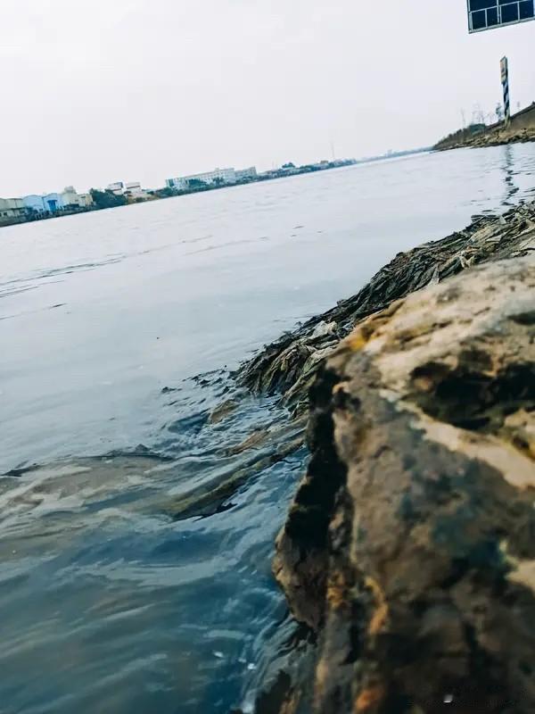 感觉这段话挺有深意的。世界在不断变化，或许真的在经历着重构。以往用死亡人数来衡量