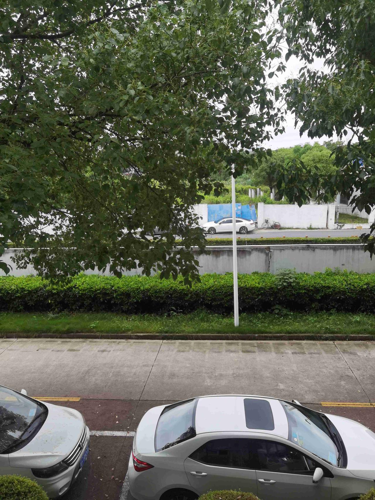 我的今日状态：🥲强颜欢笑
我这里的天气：☁️阴天
今天是2026年6月16日，