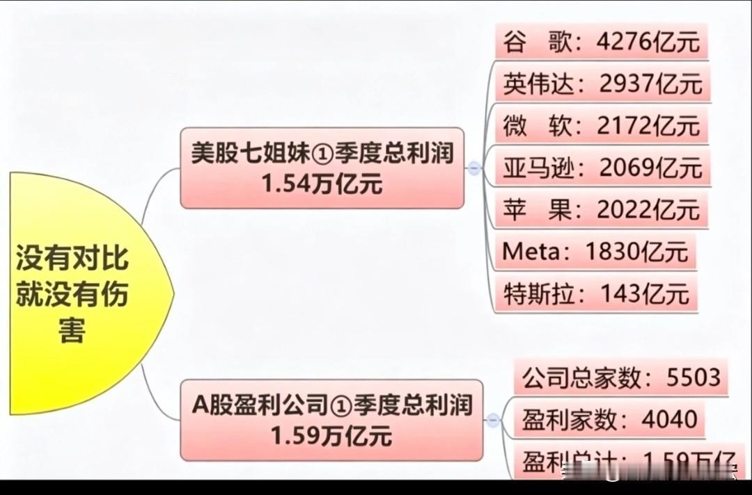 没有对比就没有伤害，美国的科技企业是真赚钱。
有的地方毕业就想去科技企业，有的地