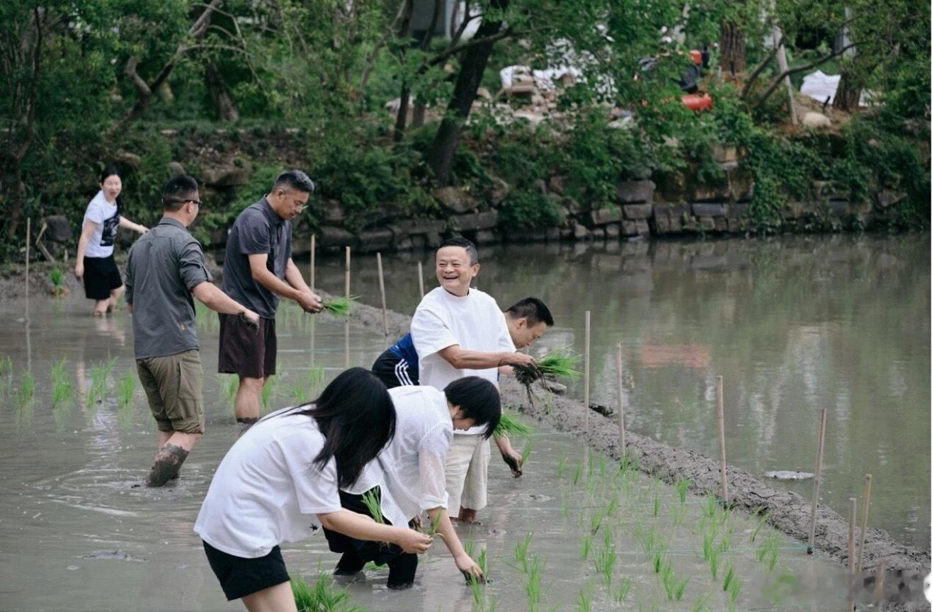 「插个秧还要这么多人拍照！」 
