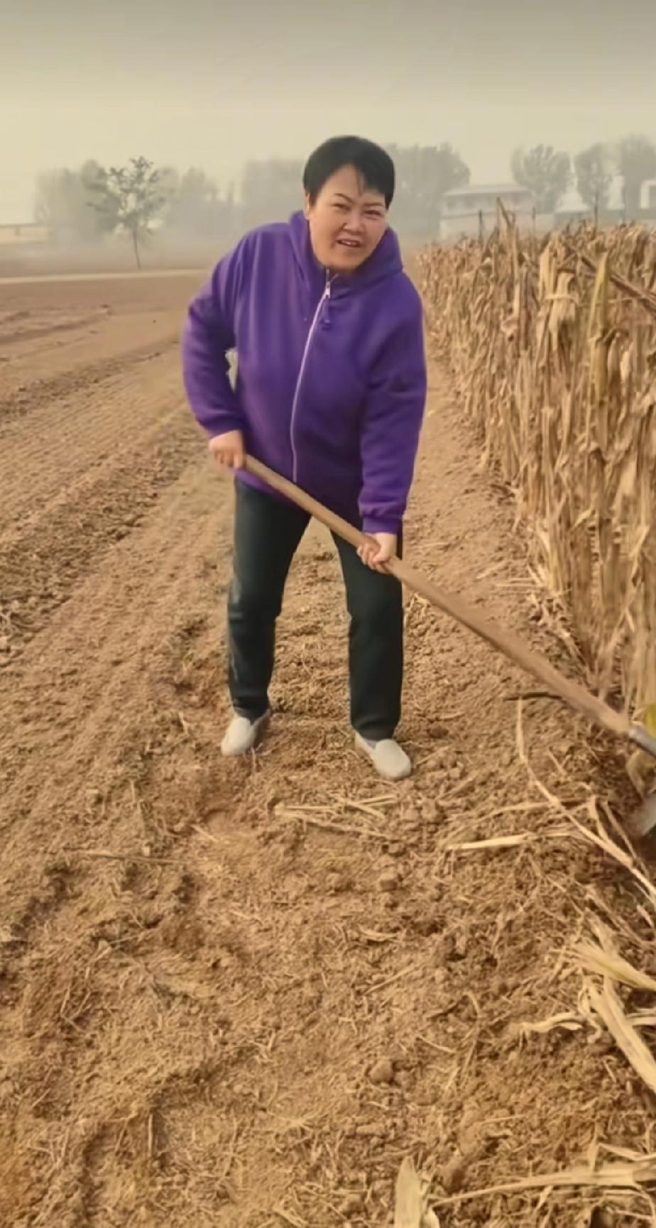 向阳花姐姐发布了视频，她在田间地头劳作，细心的网友说她这不是在青海，应该是在河北