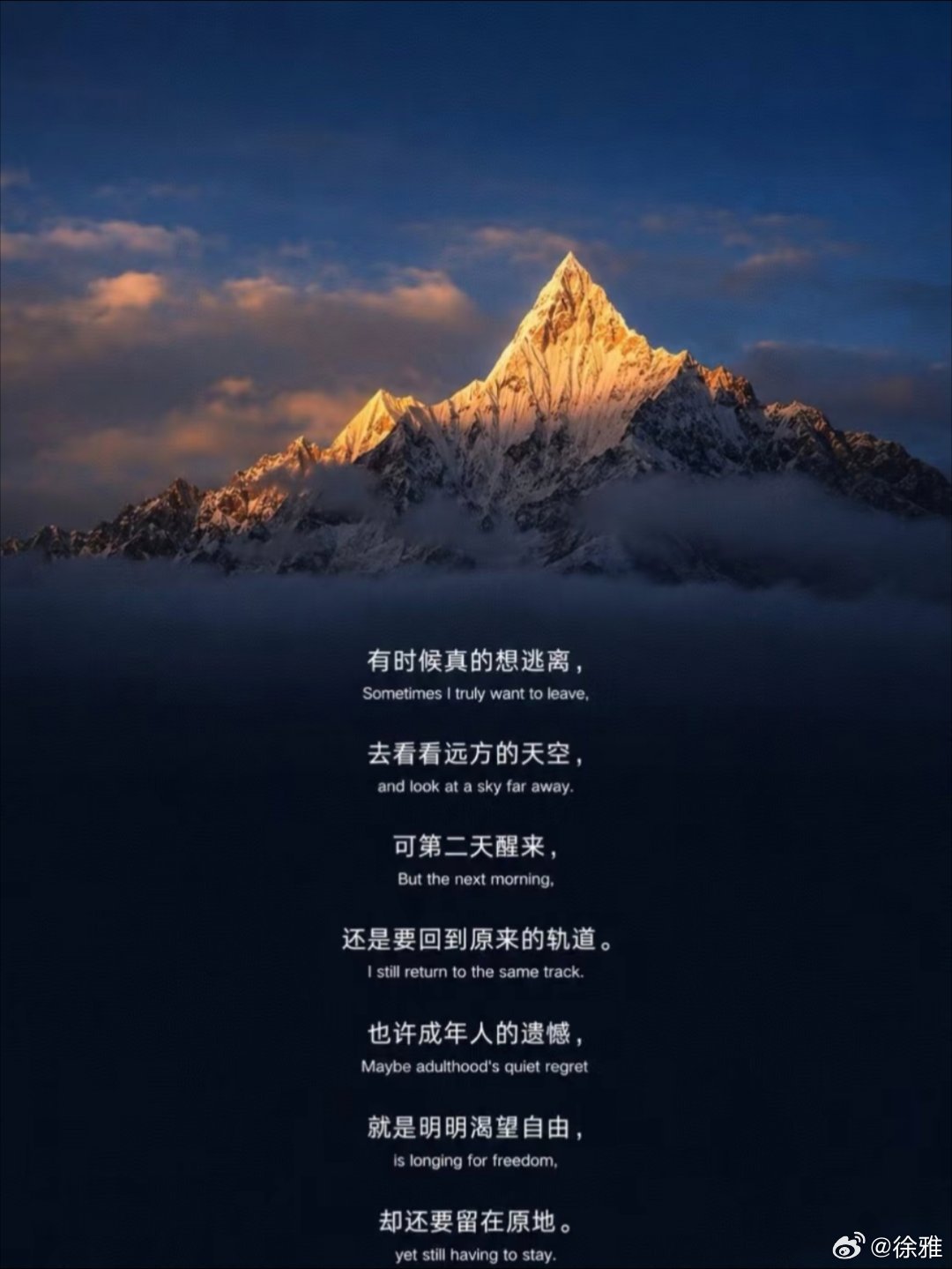 每个人都身不由己！ 