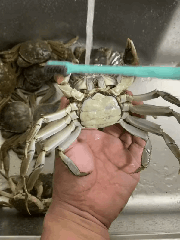 图1:想要吃螃蟹，必须要有两把刷子，要不然就吃不到了。