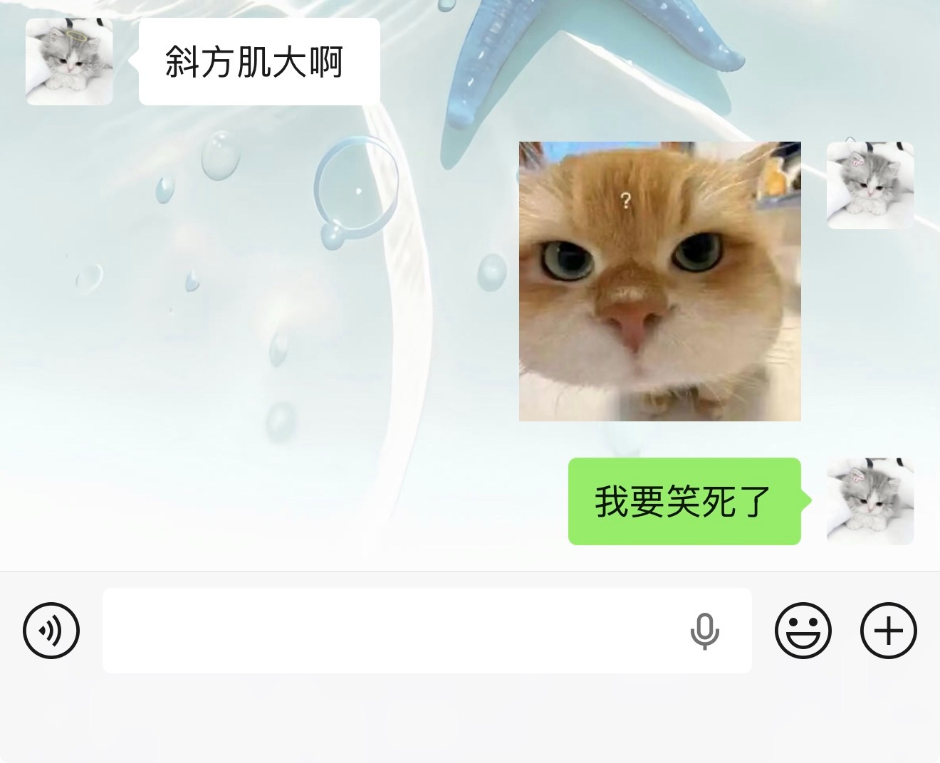 谁想斜方肌大谁接哈哈哈哈哈哈哈哈哈哈哈哈哈哈哈哈哈哈哈哈啊啊哈哈哈哈啊哈哈啊哈哈