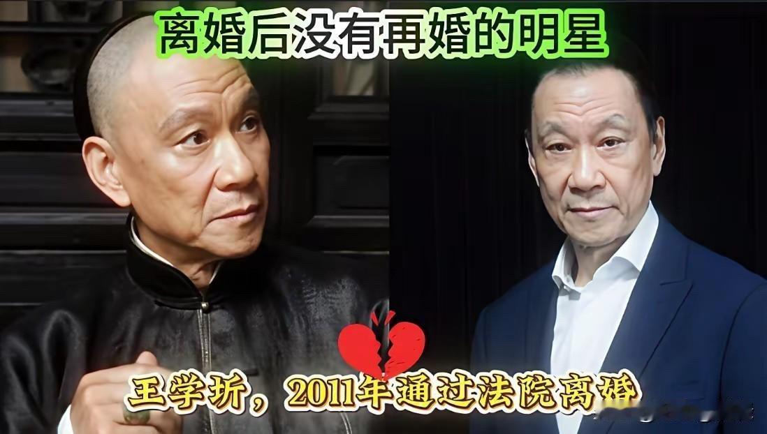 婚姻不是人生的全部，离婚后选择独自生活，也是一种勇敢的选择。这些明星用自己的方式