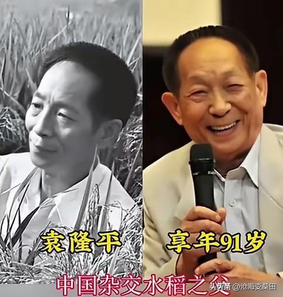 国之栋梁，国之骄傲