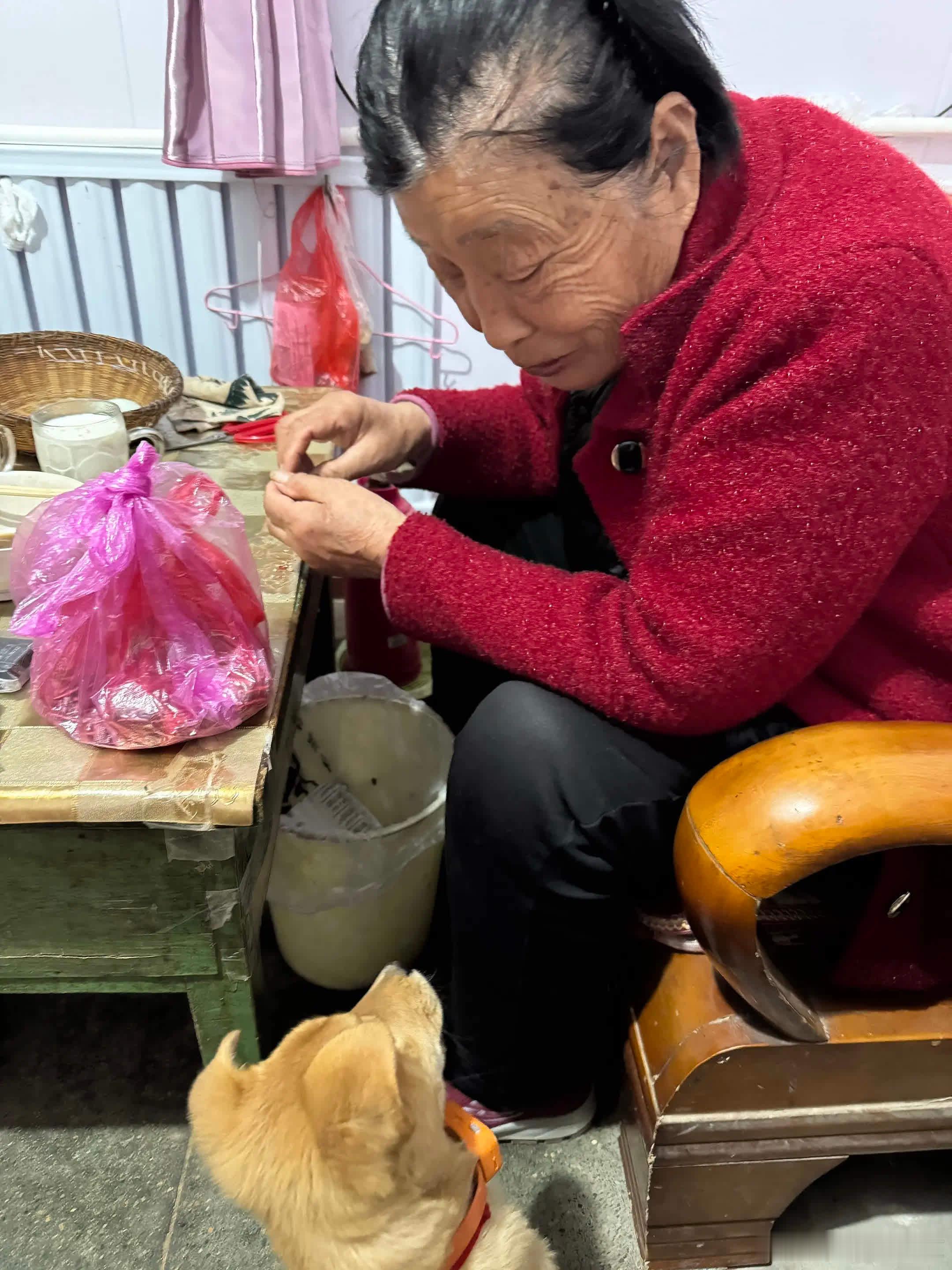 因为我爱它 所以你们像爱我一样爱它萌宠宠物