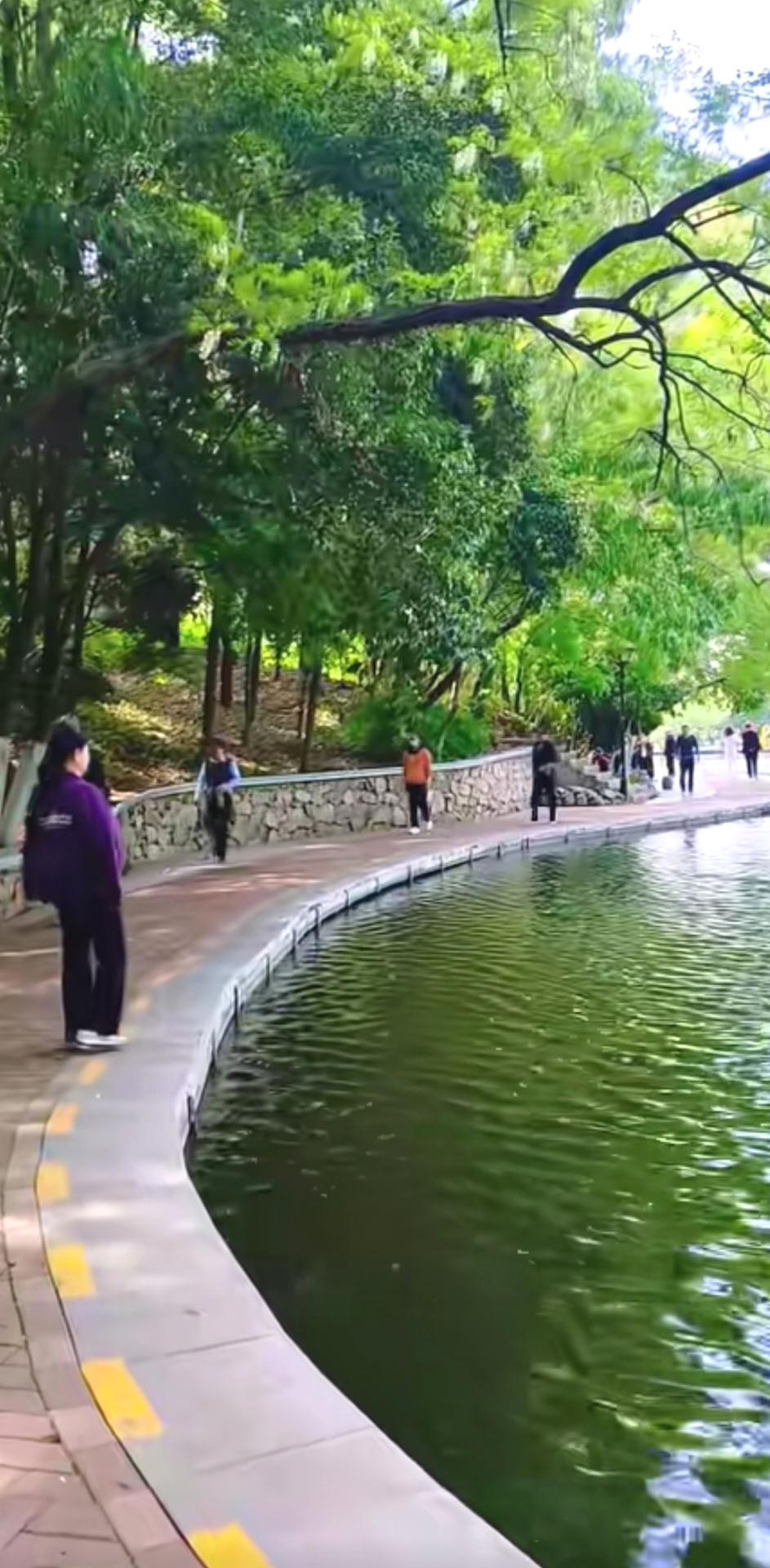你见过最聪明的妻子是什么样的？
我见过最聪明的妻子，不会把丈夫管得死死的，而是用