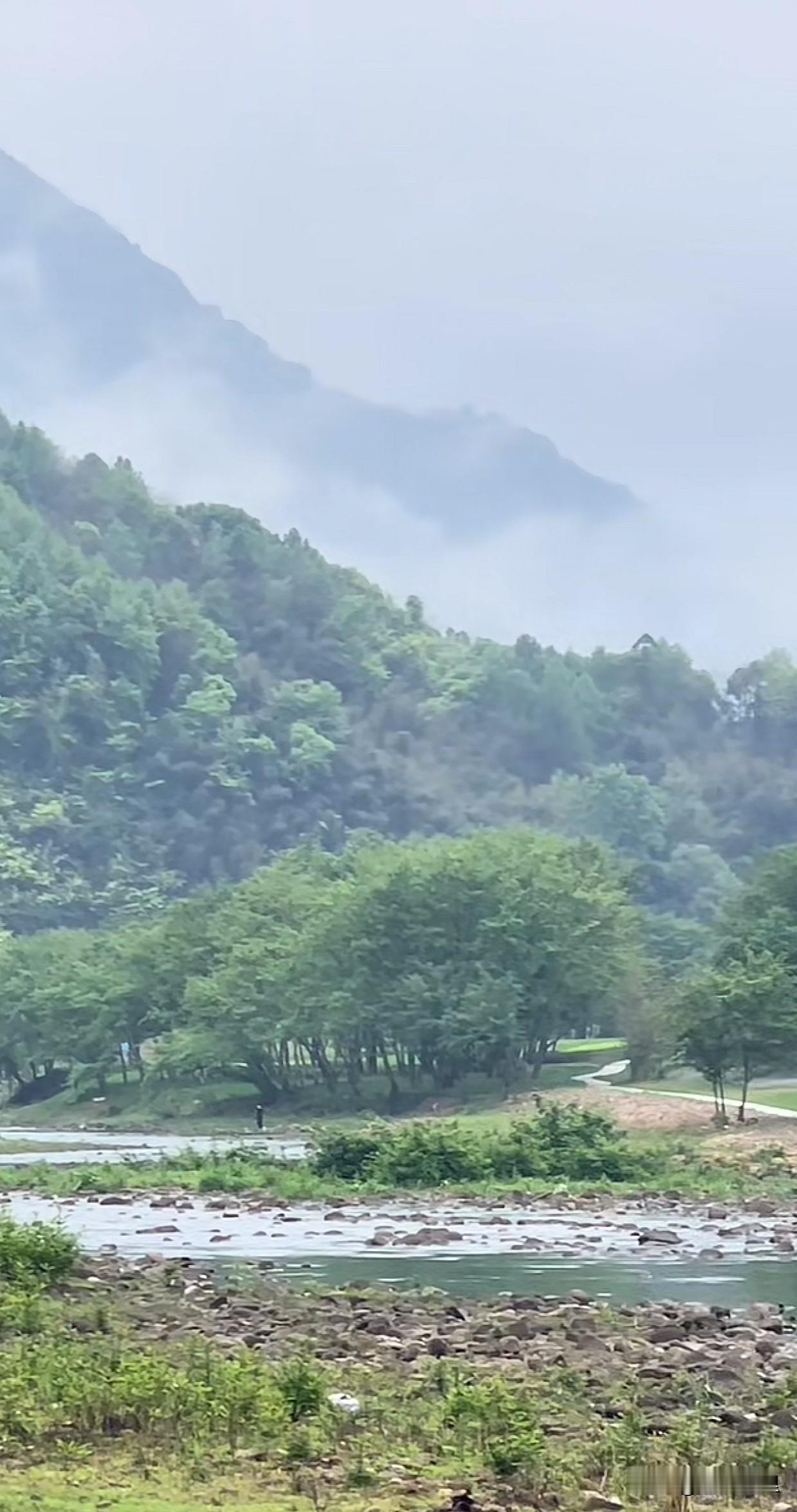 晒图笔记大赛云雾缭绕的山间小溪，静谧而美丽。