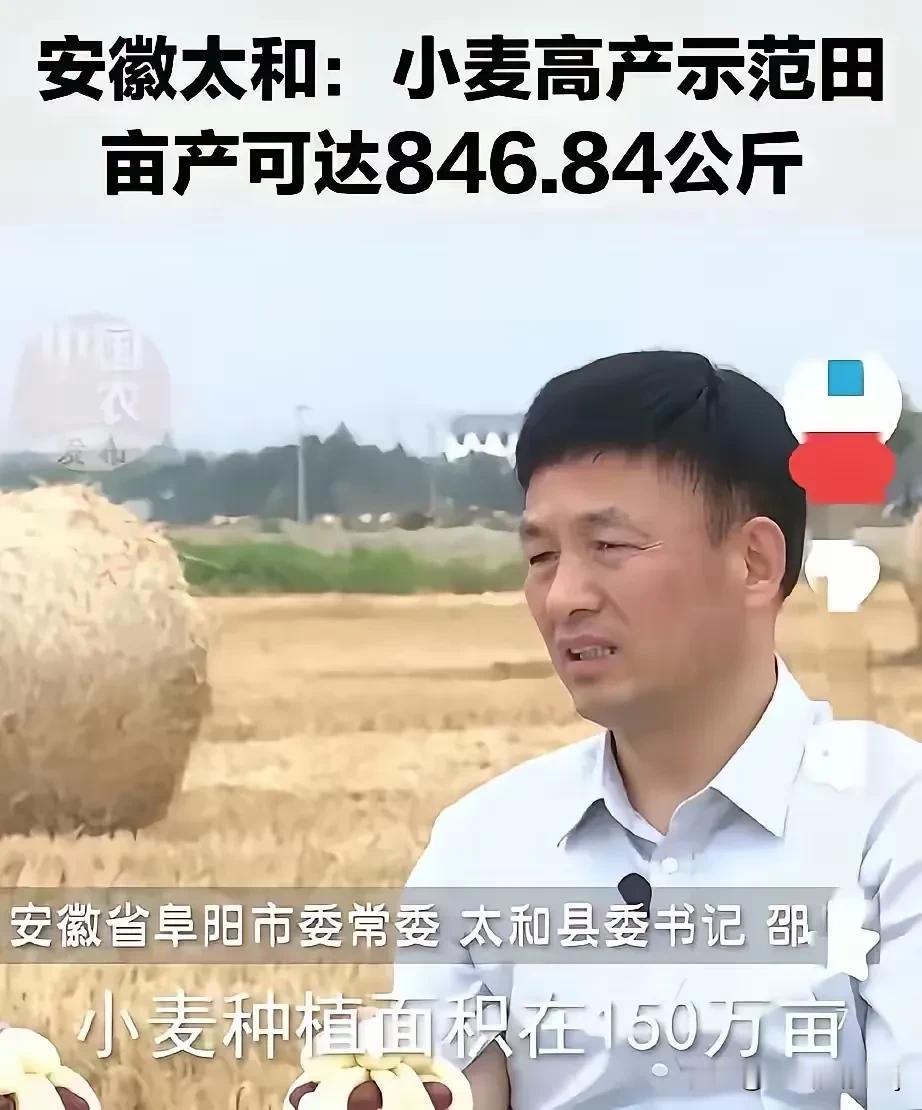 一个敢说，一个敢播！真是让人哭笑不得！

现在这世道，有些人为了博眼球、赚流量，