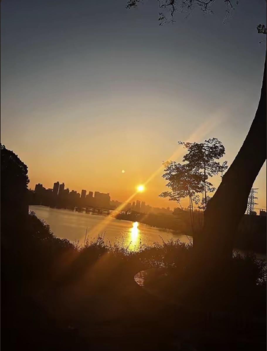 好像从某一天开始，示弱变成一件难为情的事。遇到难题不再第一时间找人倾诉，受了委屈