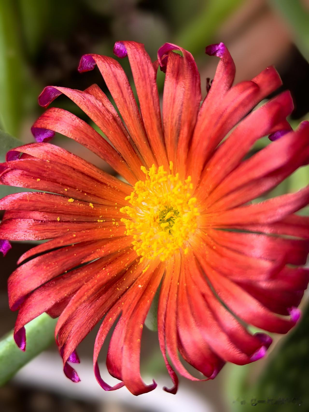 心有温柔，日子缓缓，岁岁皆安然