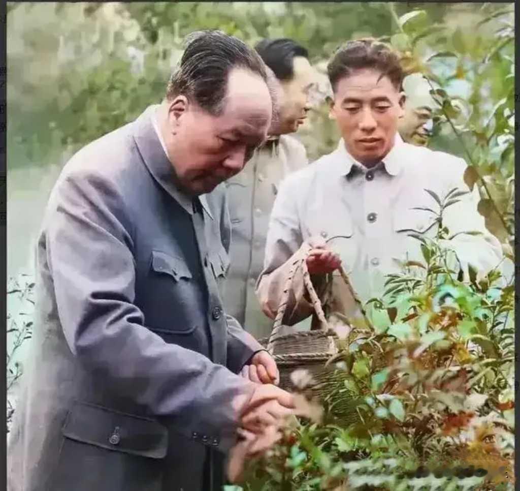这句话兼具历史分量与当代价值，既适合话题讨论，又容易引发共鸣。