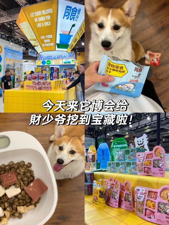它博会战利品大公开、我又又给少爷挖到宝啦