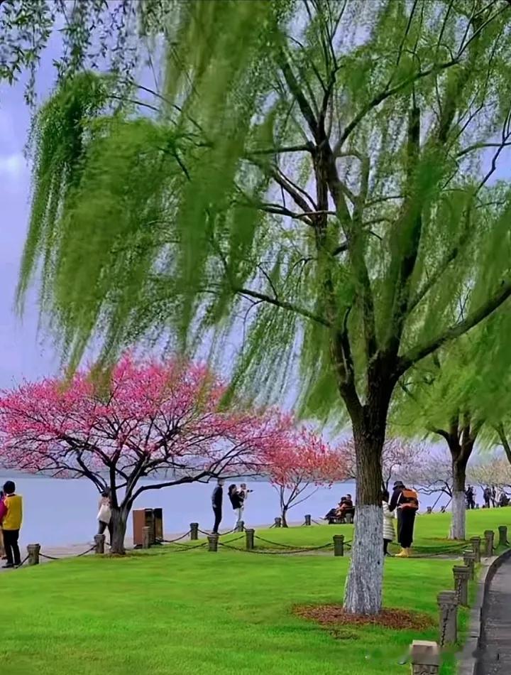 雪覆方圆，雨润花容添秀色
人依曲岸，偷留倩影醉春风