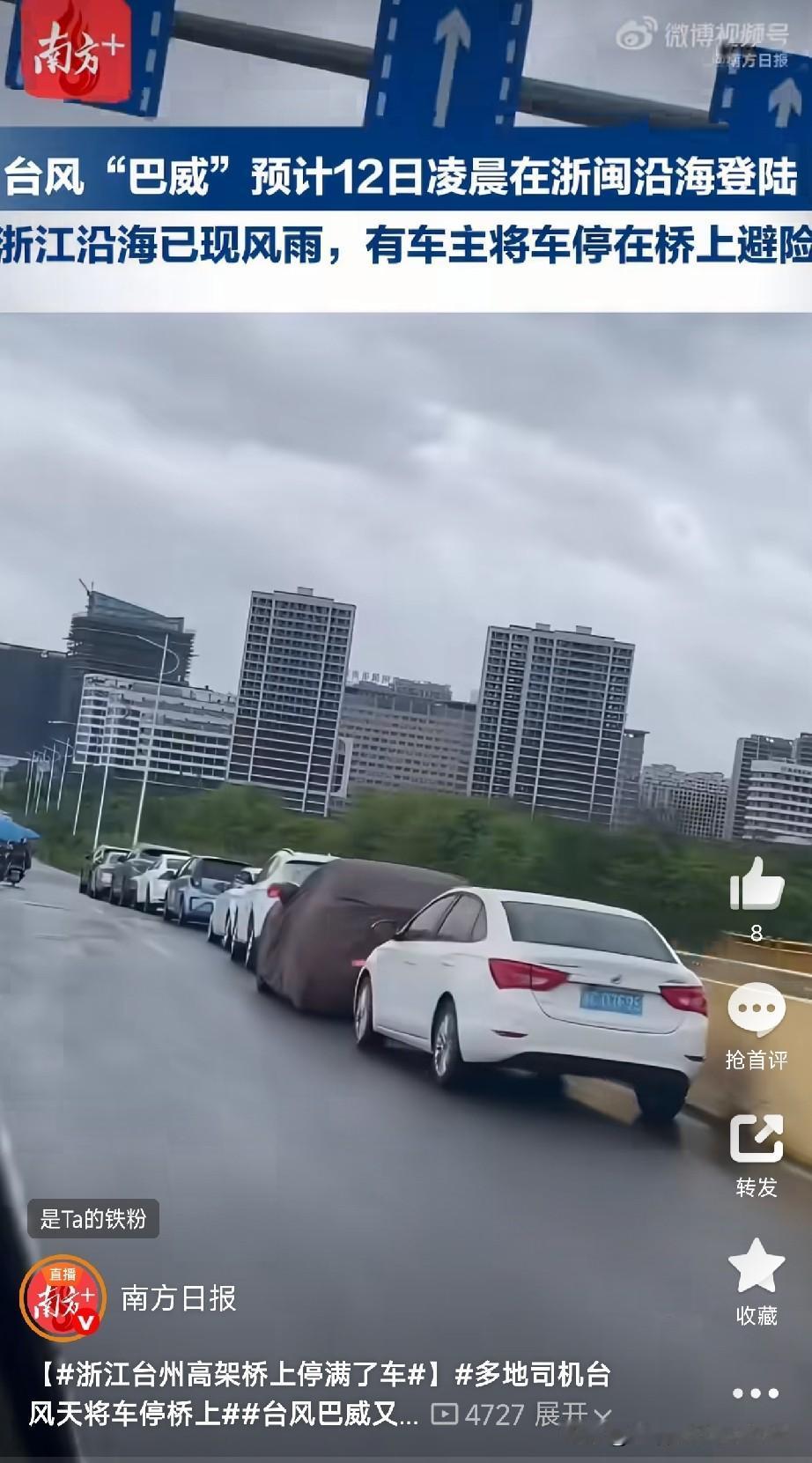 超强台风“巴威”还没到，浙江台州的高架桥先火了——航拍镜头下，桥上密密麻麻停满了