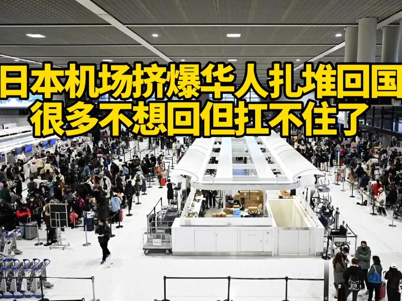 震撼！日本机场上演“逆春运”潮，大批中国人毅然弃职归国，12条航线全取消，留学生