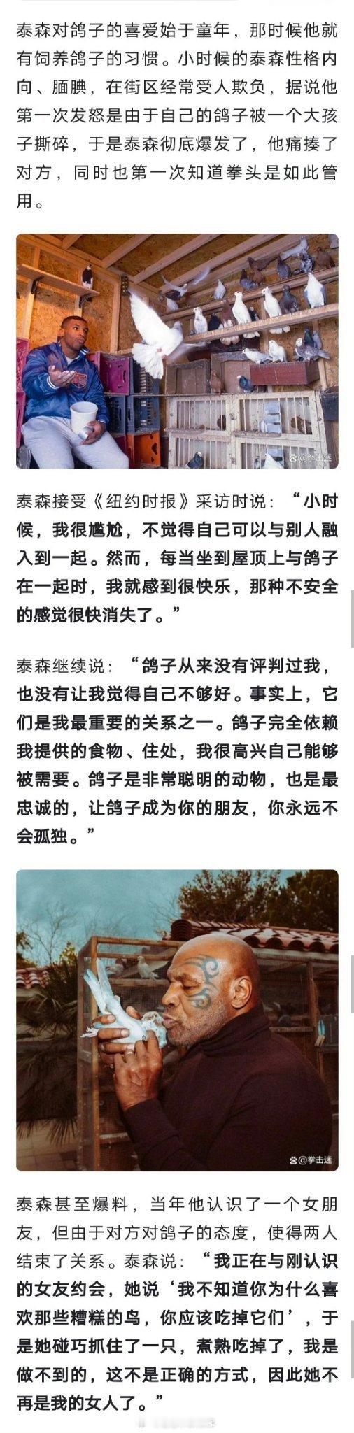 拳王泰森:“鸽子从来没有批评过我，也没有让我觉得自己不够好……”我想我家狗了，甚