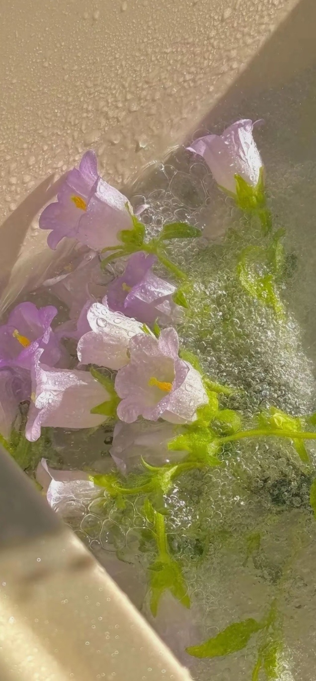 - 𝒇𝒍𝒐𝒘𝒆𝒓｜ins风手机全屏高清壁纸｜小众多风格壁纸｜治愈系壁