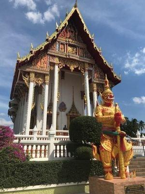 泰国下议院选举结果预测
今天，泰国5000万选民将投票决定下议院500席位的归属