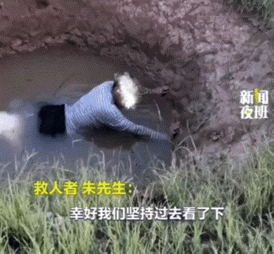 济南，一放羊老人为救羊不慎掉进一深水坑，期间老人的两只狗子见老人掉坑，只能无奈又