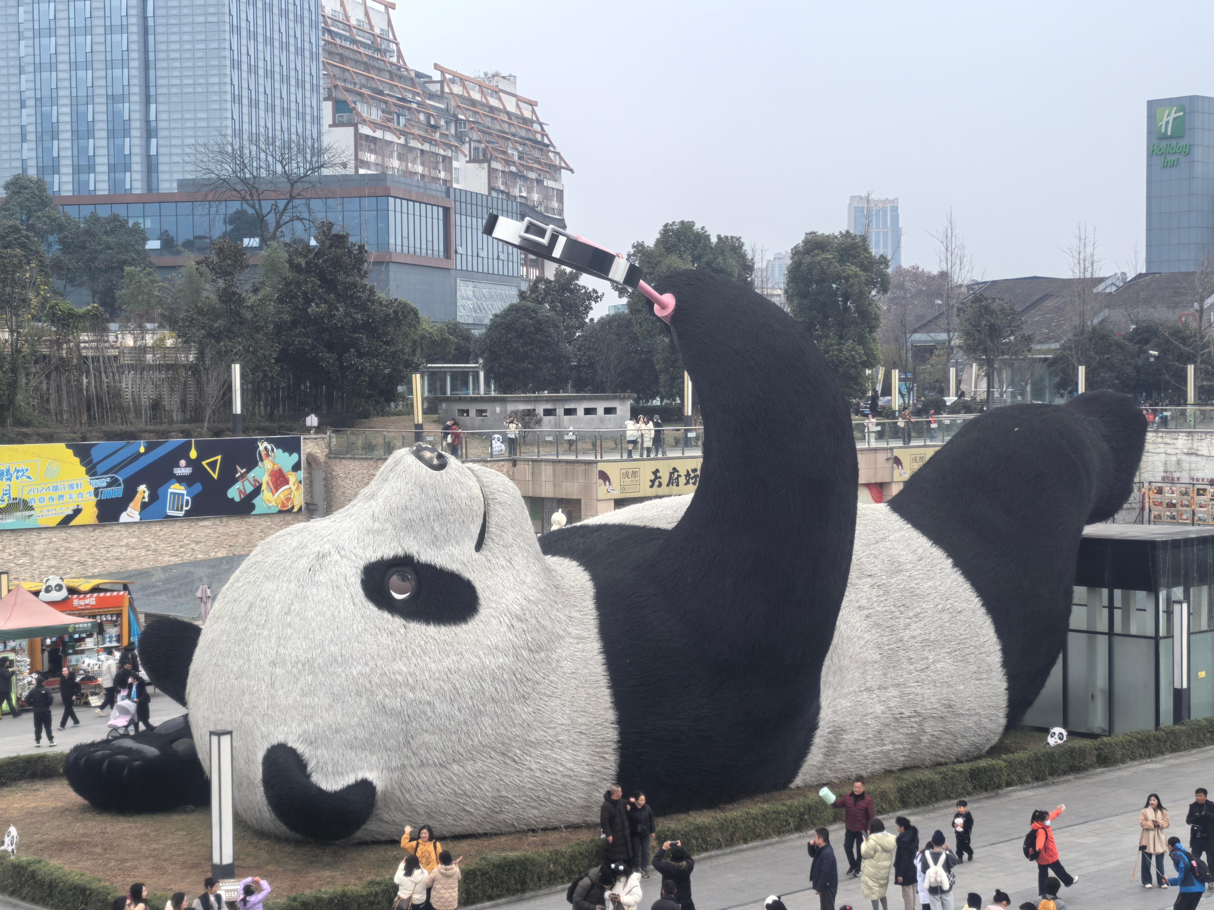 今日🐼含量超标3️⃣ 