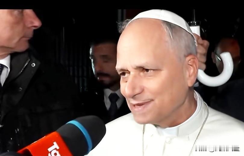 教皇利奥:“确实，有一件事让我深感悲痛，那就是，俄罗斯显然拒绝了停火请求，我再次