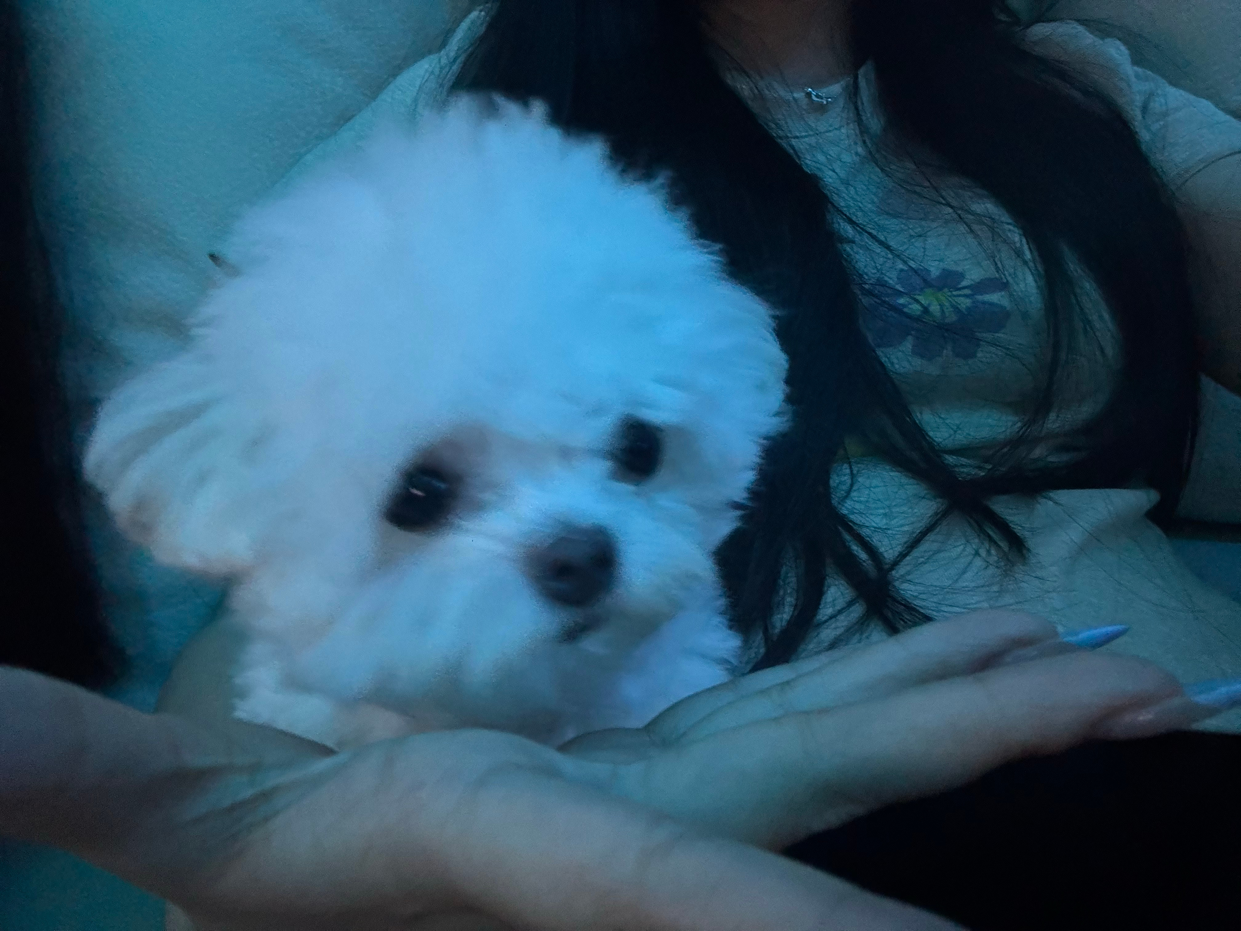 hi ​​​