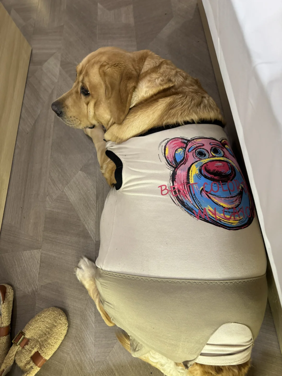 谁还没有个包臀裙了