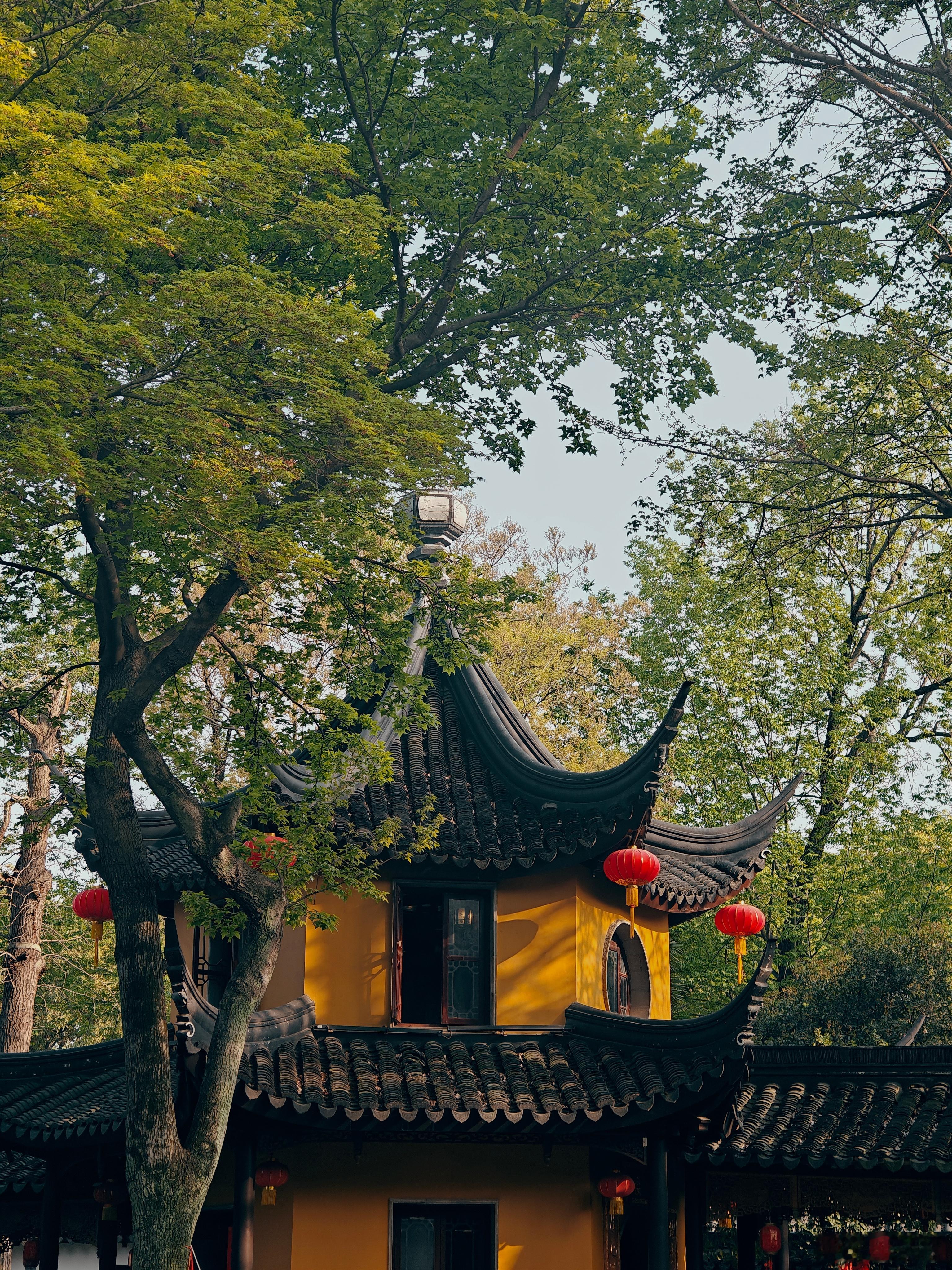 来到了小学课本里的#寒山寺# 姑苏城外寒山寺，夜半钟声到客船#苏州·苏州寒山寺[