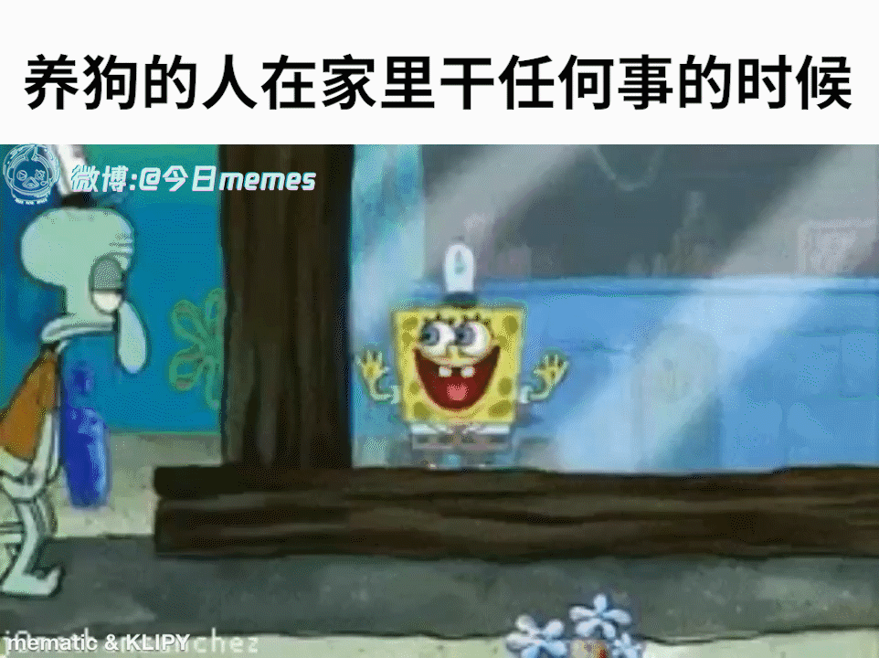 环绕特效（9gag）今日meme今日memes