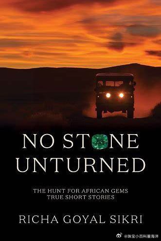 推书：《No Stone Unturned 不遗余力》这本书会带读者踏上一段激动