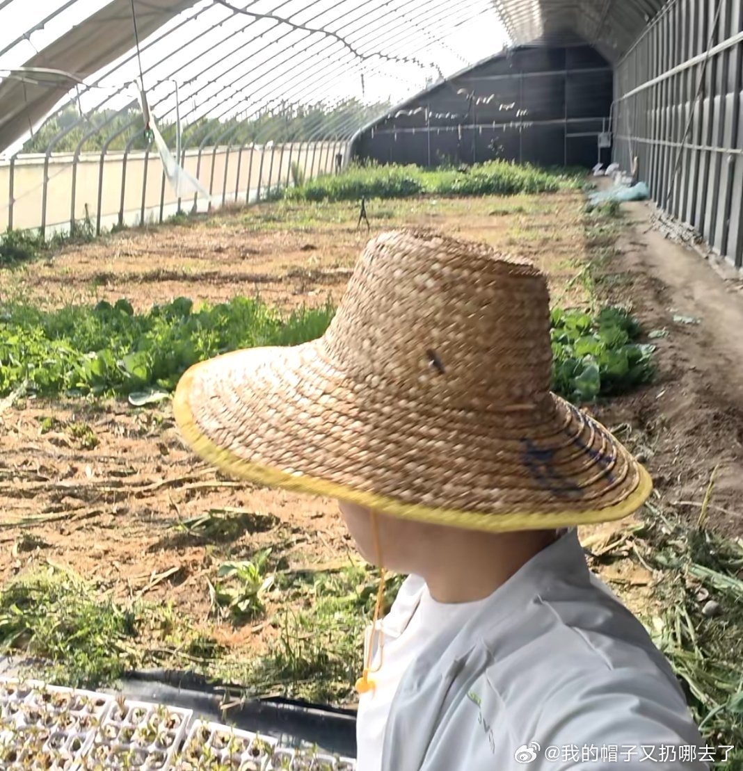 高敏感人都去学农吧高敏感人群很适合走农林这条路，日常要么扎根实验室钻研数据，要么