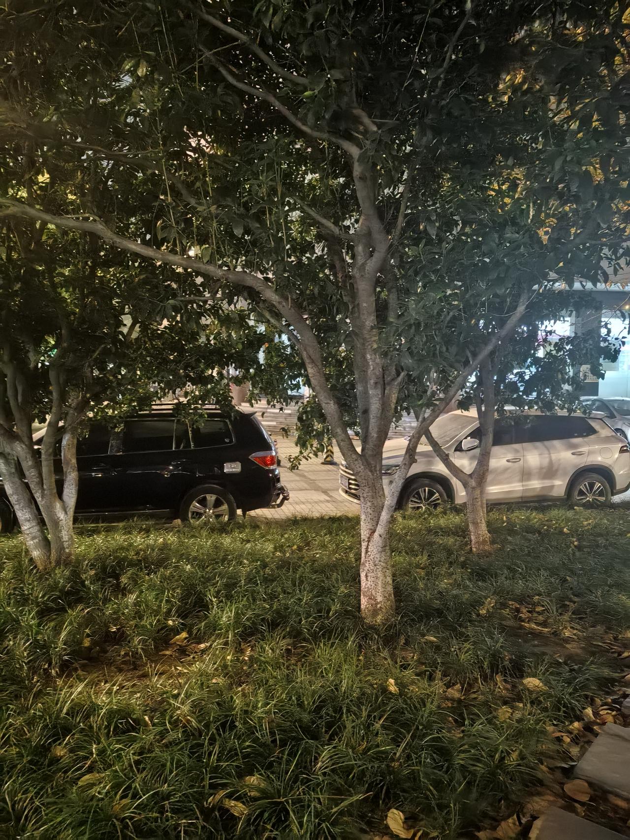 今天我们去收取门面物业费，到处碰壁，但我却没有丝毫的挫败感


门面生意惨淡，有