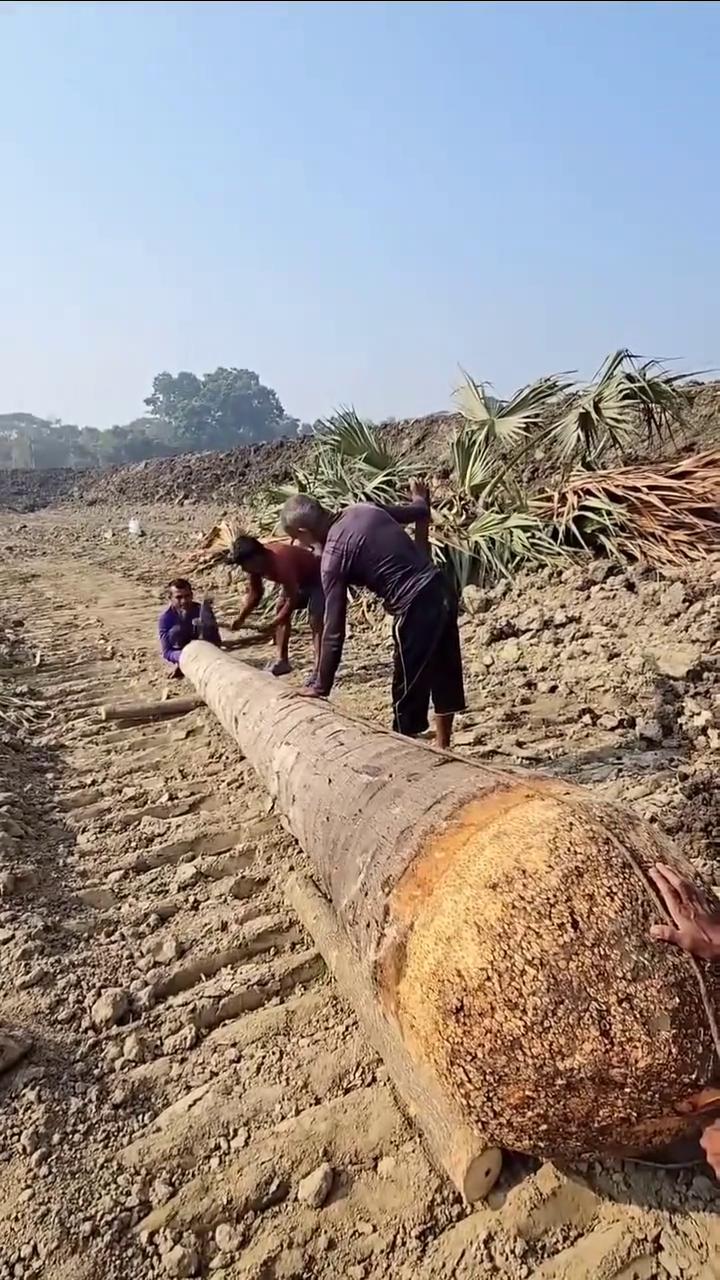 馒头，没问题。