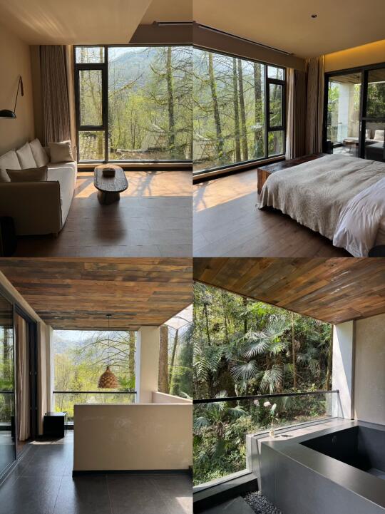 住进成都青城山的春天里｜私汤嫩芽山野晨光
