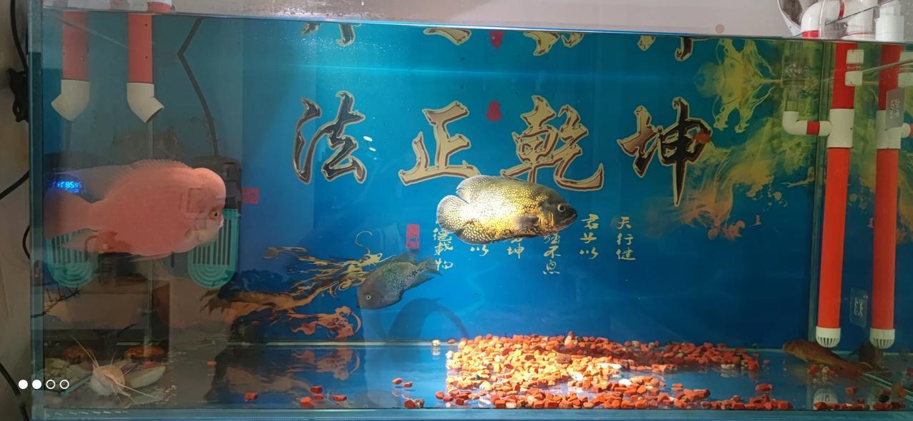 实习律师第159天
        本末倒置的时候太多了。
        今早