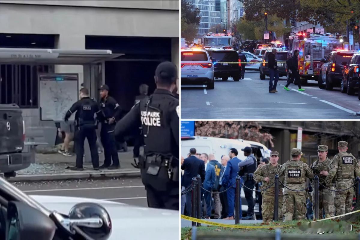 给特朗普递刀子！美国枪击案凶手为阿富汗非法移民
 
2025年11月26日下午2