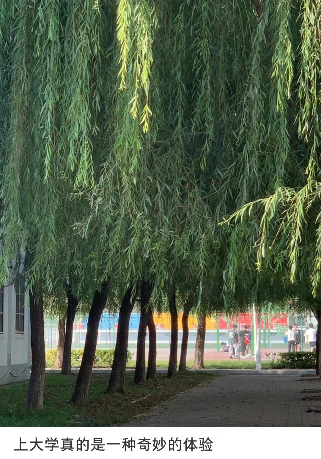 不少高三填志愿时，一心想逃离家乡，执意报考外省大学，以为离开父母管束，就能自由自