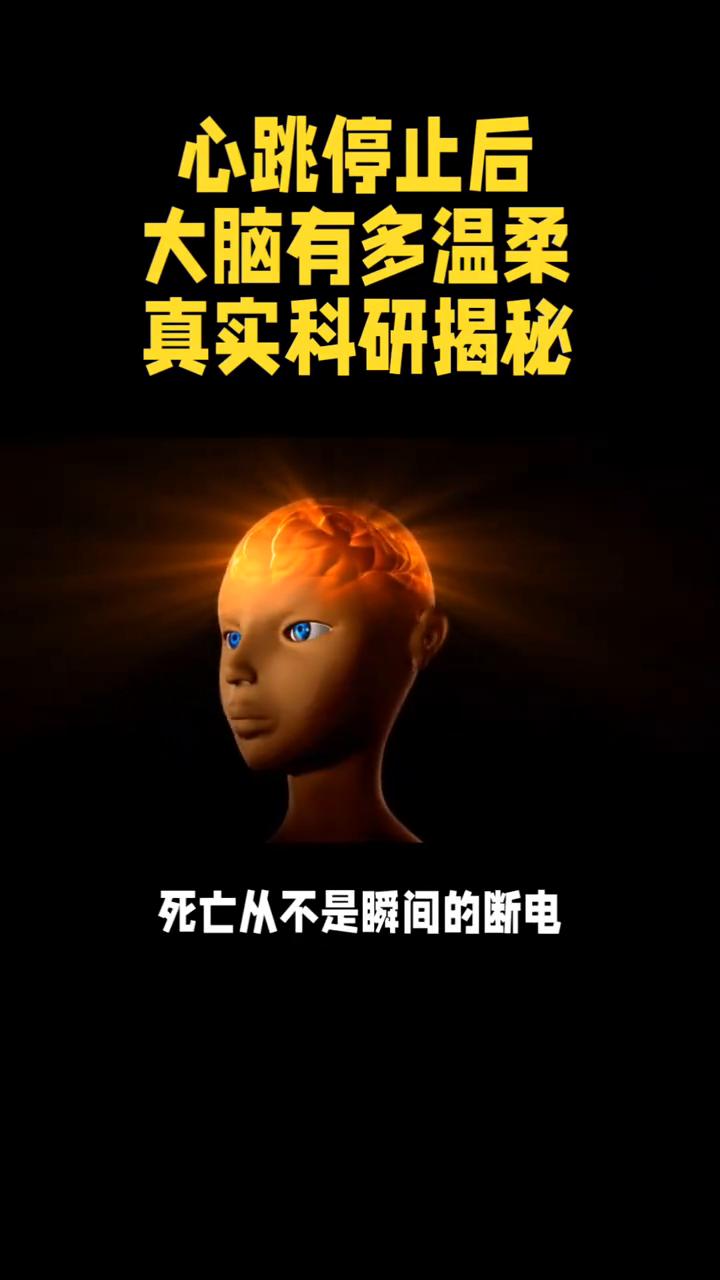 心跳停止后大脑有多温柔？
真实科研揭秘，看完破防了。我们总以为心脏停跳的瞬间生命