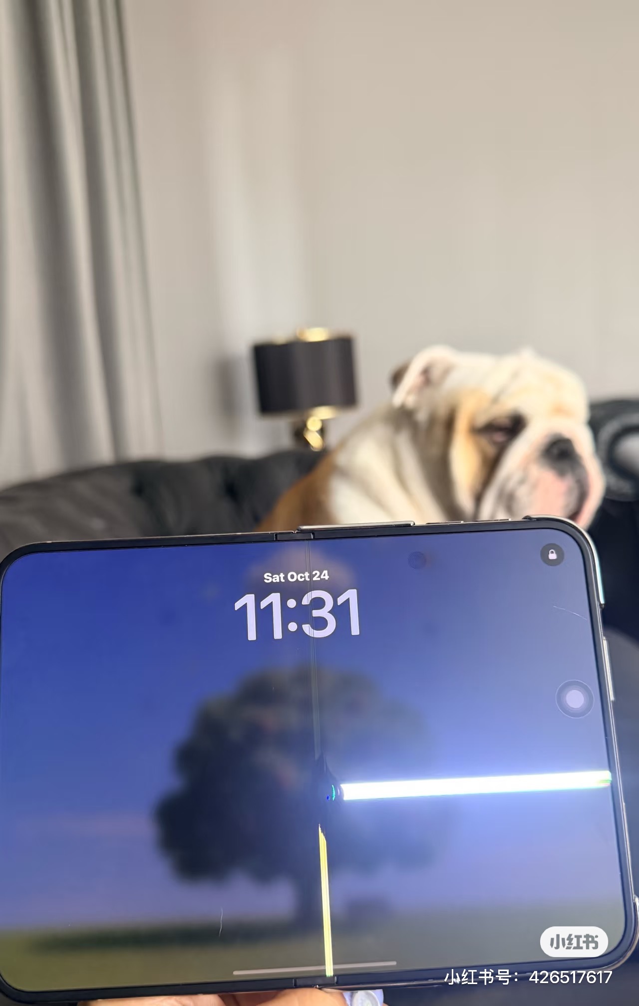怎么今天看到更多 iPhone Duo 屏幕出问题的了，而且基本都是同一个地方。